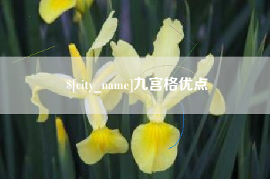 大连九宫格优点