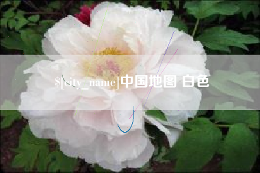 大连中国地图 白色