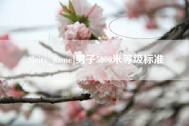 大连男子5000米等级标准