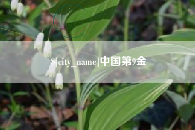大连中国第9金