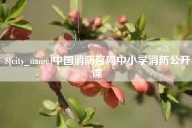 大连中国消防官网中小学消防公开课
