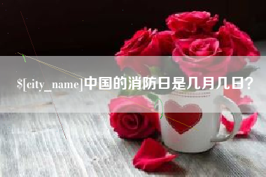 大连中国的消防日是几月几日？