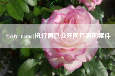 大连执行信息公开网查到的案件