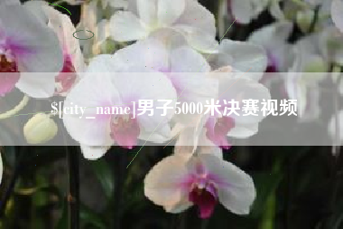 大连男子5000米决赛视频