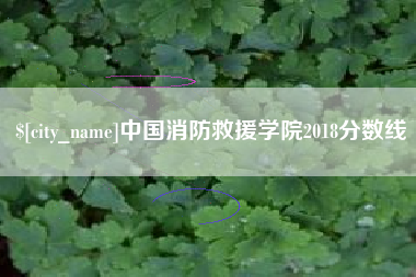 大连中国消防救援学院2018分数线