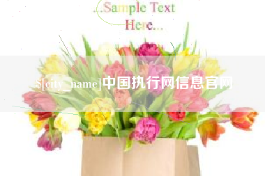大连中国执行网信息官网