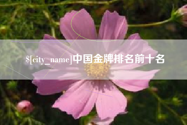大连中国金牌排名前十名