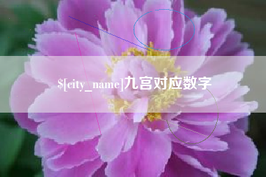 大连九宫对应数字