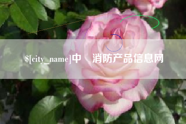 大连中囯消防产品信息网