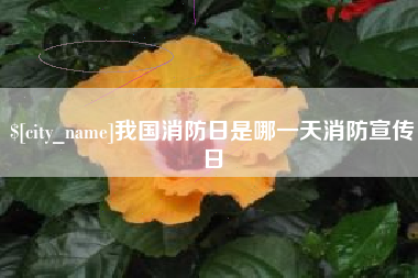 大连我国消防日是哪一天消防宣传日