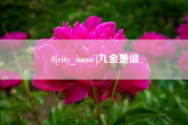 大连九金是谁