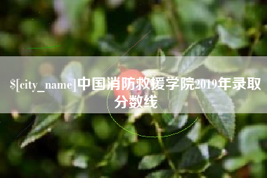 大连中国消防救援学院2019年录取分数线