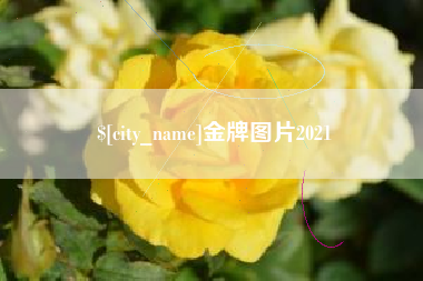 大连金牌图片2021