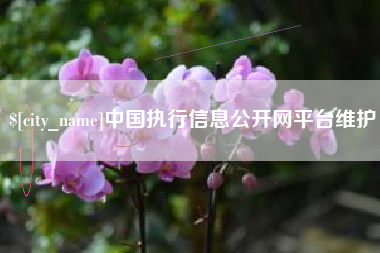 大连中国执行信息公开网平台维护