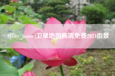大连卫星地图高清免费2024街景