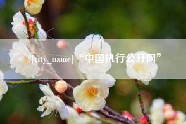 大连“中国执行公开网”