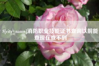 大连消防职业技能证书查询以前能查现在查不到