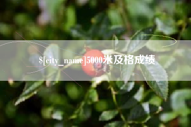 大连5000米及格成绩