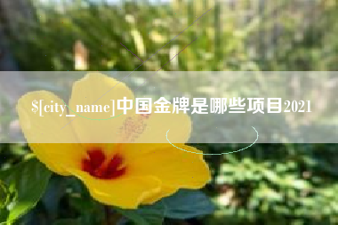 大连中国金牌是哪些项目2021