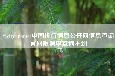 大连中国执行信息公开网信息查询官网限消中查询不到