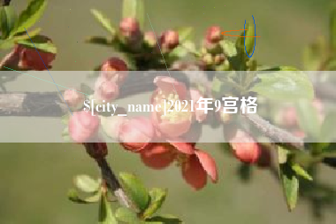 大连2021年9宫格