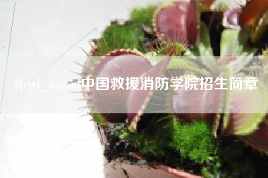大连中国救援消防学院招生简章