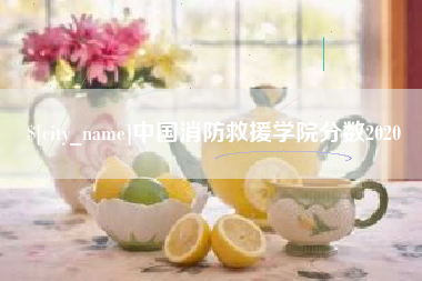 大连中国消防救援学院分数2020