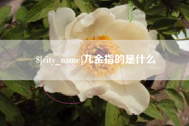 大连九金指的是什么