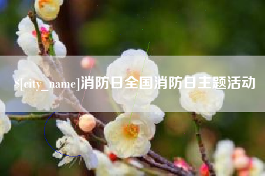 大连消防日全国消防日主题活动