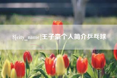 大连王子豪个人简介乒乓球