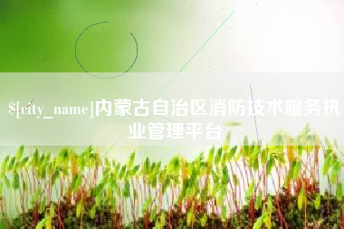 大连内蒙古自治区消防技术服务执业管理平台