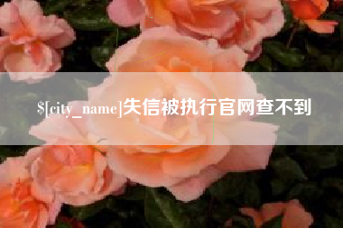 大连失信被执行官网查不到