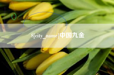 大连中国九金