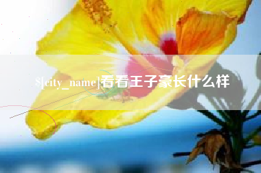 大连看看王子豪长什么样