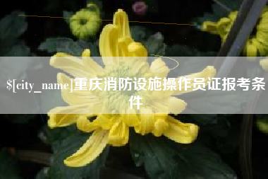 大连重庆消防设施操作员证报考条件