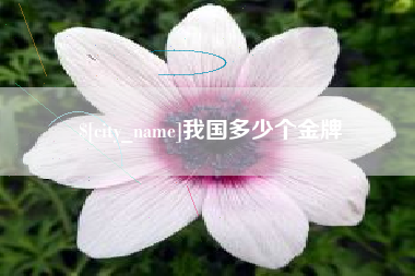 大连我国多少个金牌