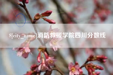 大连消防救援学院四川分数线