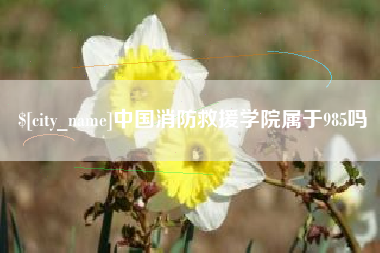 大连中国消防救援学院属于985吗