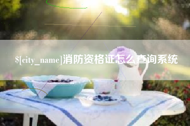 大连消防资格证怎么查询系统