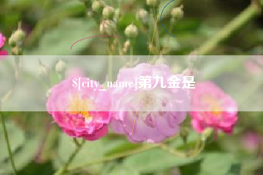 大连第九金是