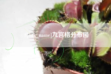 大连九宫格分布图