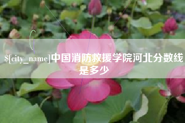 大连中国消防救援学院河北分数线是多少