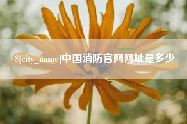 大连中国消防官网网址是多少