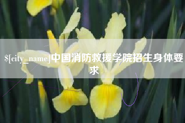 大连中国消防救援学院招生身体要求