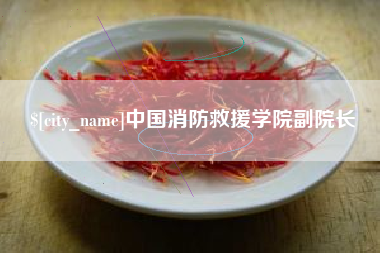 大连中国消防救援学院副院长