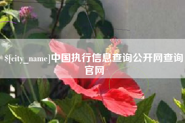 大连中国执行信息查询公开网查询官网