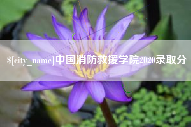 大连中国消防救援学院2020录取分