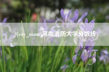 大连河南消防大学分数线