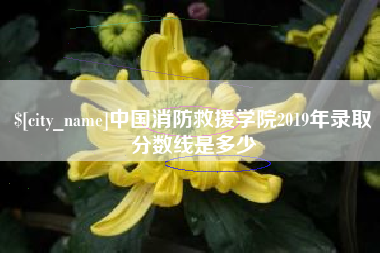 大连中国消防救援学院2019年录取分数线是多少