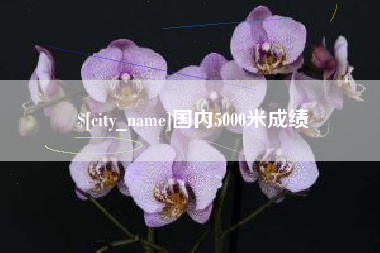 大连国内5000米成绩